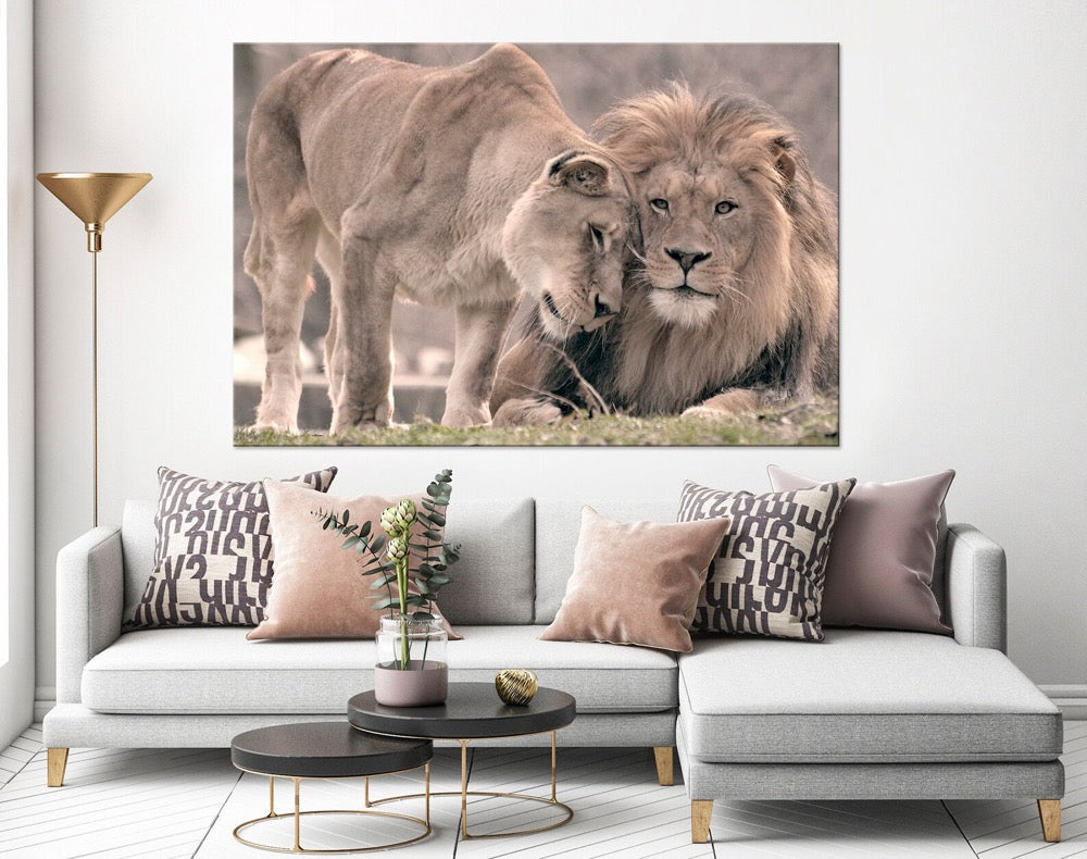 Lion lioness canvas wall art Lions Sepia print lion family canvas art Anniversary gift for couple Love print